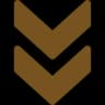 double orange arrow